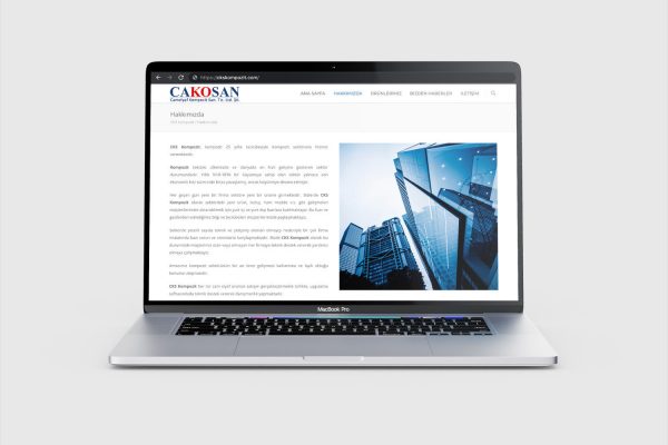 New Website - Alican Design